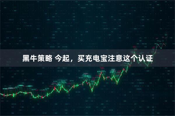 黑牛策略 今起，买充电宝注意这个认证