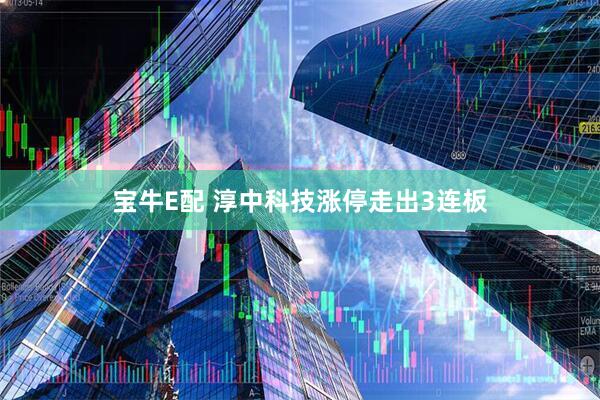 宝牛E配 淳中科技涨停走出3连板