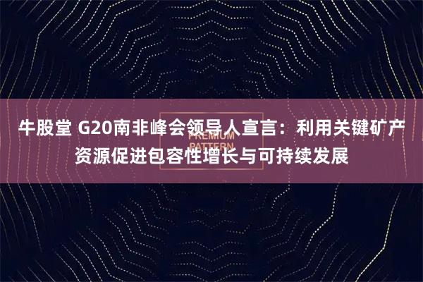 牛股堂 G20南非峰会领导人宣言：利用关键矿产资源促进包容性增长与可持续发展