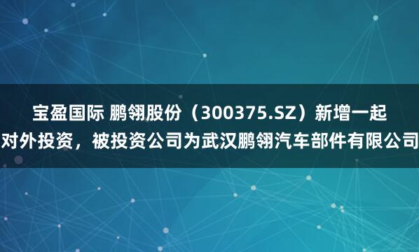 宝盈国际 鹏翎股份（300375.SZ）新增一起对外投资，被投资公司为武汉鹏翎汽车部件有限公司