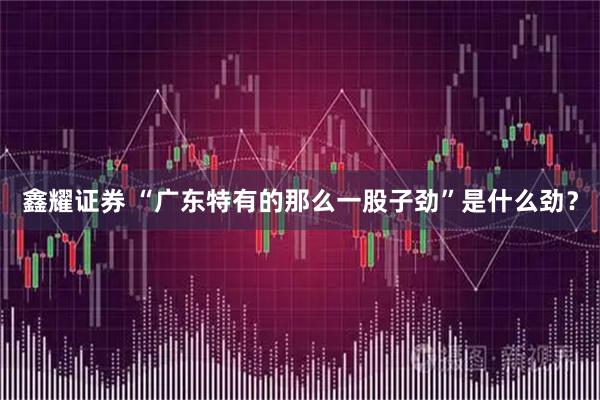 鑫耀证券 “广东特有的那么一股子劲”是什么劲？