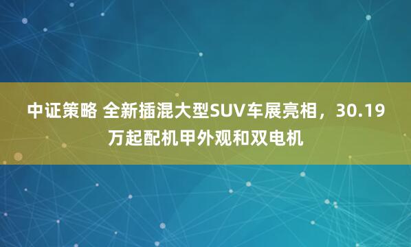 中证策略 全新插混大型SUV车展亮相，30.19万起配机甲外观和双电机