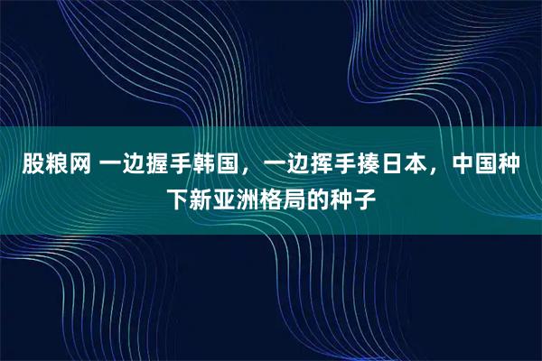 股粮网 一边握手韩国，一边挥手揍日本，中国种下新亚洲格局的种子