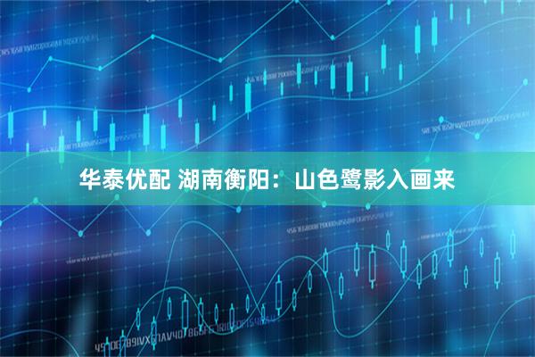 华泰优配 湖南衡阳：山色鹭影入画来