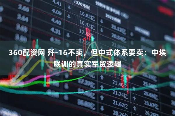 360配资网 歼-16不卖，但中式体系要卖：中埃联训的真实军贸逻辑